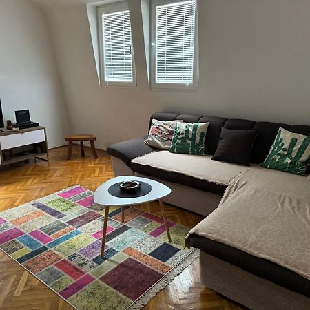 Apartman “The View” Apartment Pluzine Exterior photo
